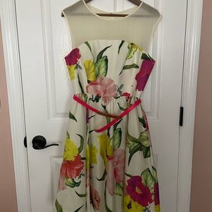 Ted Baker dress